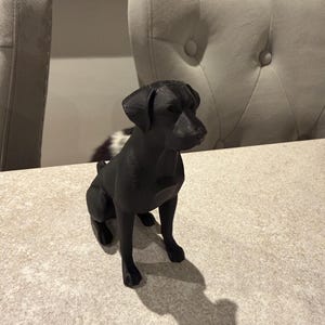 May include: A black Labrador Retriever figurine sits on a light-colored surface. The dog is in a seated position, with its front paws extended. The figurine casts a shadow on the surface. Two upholstered chairs are in the background.