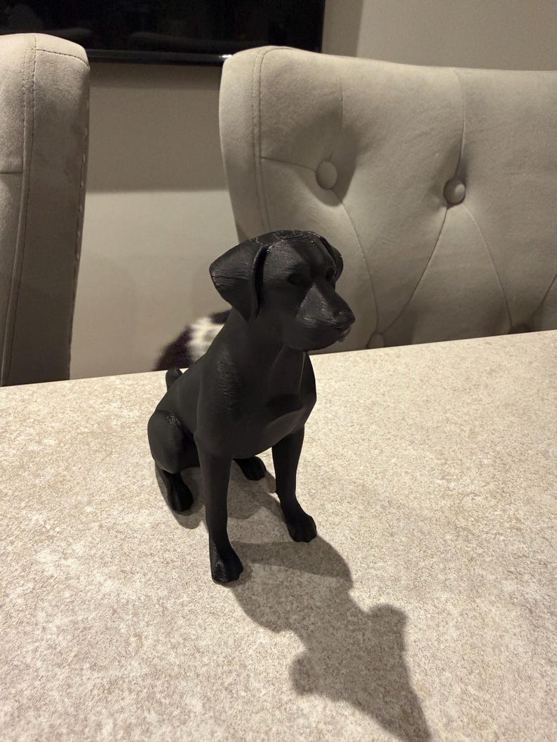 May include: A black Labrador Retriever figurine sits on a light-colored surface. The dog is in a seated position, with its front paws extended. The figurine casts a shadow on the surface. Two upholstered chairs are in the background.