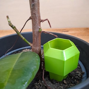 May include: A lime green, geometric plant watering device is placed in a black pot beside a plant stem. The device features a hexagonal top and a cylindrical base. A large, green leaf is visible.