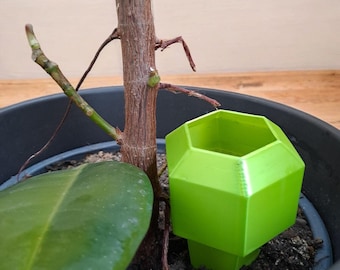 Self-Watering Plant Stakes | 3D Printed | Eco-Friendly & Reusable | Colourful Garden Accessories | Made in UK