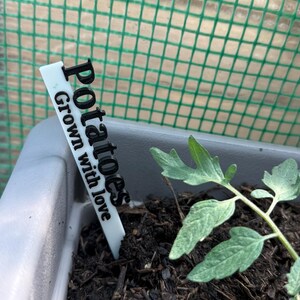 May include: A close-up of a small, white plant marker in a gray planter, with the word "Potatoes" and the phrase "Grown with love" printed in black. A small green plant is growing in the dark soil.