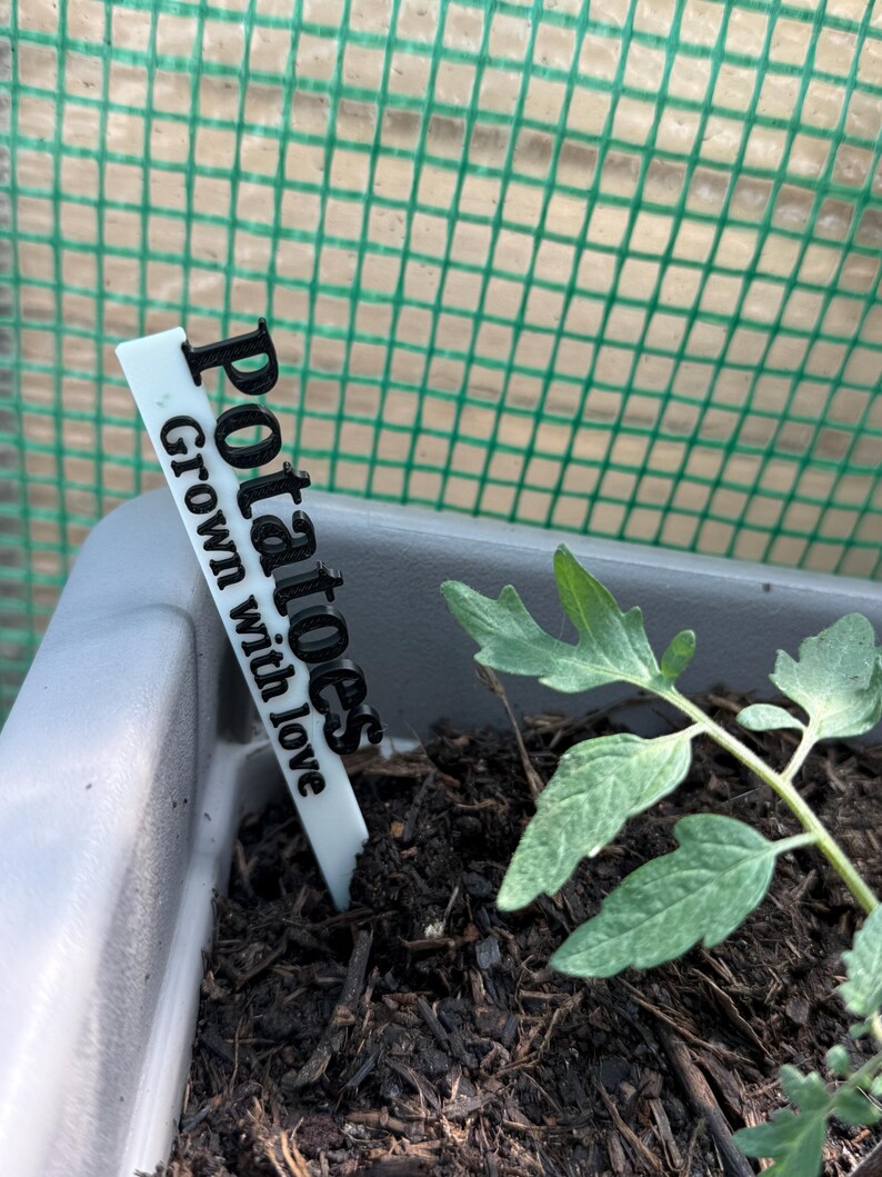 May include: A close-up of a small, white plant marker in a gray planter, with the word "Potatoes" and the phrase "Grown with love" printed in black. A small green plant is growing in the dark soil.