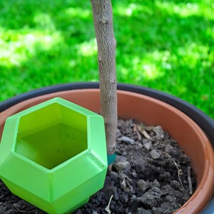 May include: A bright green, geometric-shaped plant watering device sits in a terracotta pot with soil. A small tree trunk is in the center of the pot. The background is blurred green grass.