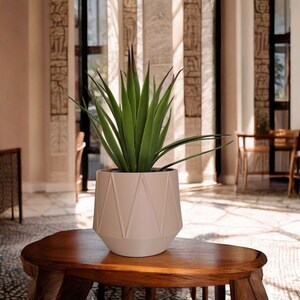 May include: A green plant with long, pointed leaves in a light pink geometric pot. The pot is sitting on a dark brown wooden table. The background features a bright, open space with tall, decorative columns.