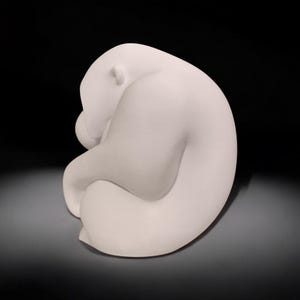 以下が含まれることがあります： 胎児の姿勢で丸まっている白いくまの彫刻。くまの形は滑らかで丸みを帯びており、頭は体に隠れています。彫刻は暗い背景に配置されています。