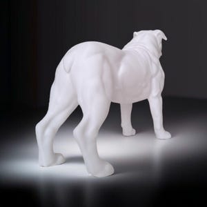 May include: A white bulldog sculpture, viewed from the rear, stands on all fours. The sculpture has a smooth, glossy finish and is set against a dark background. The dog's muscular form is clearly defined.