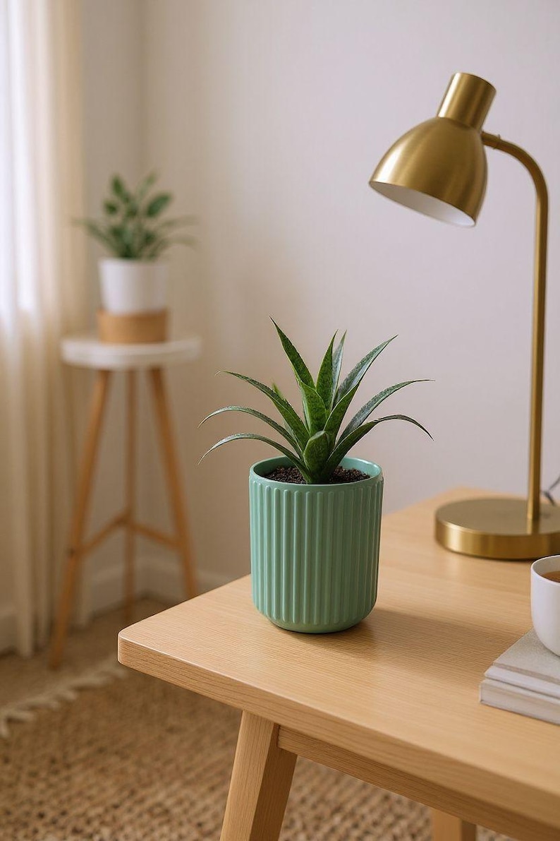 May include: A small green potted plant with long, pointed leaves sits on a light wood table. The plant is in a light green, vertically ribbed pot. A gold desk lamp and a small white plant on a side table are in the background.