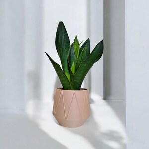 May include: A potted snake plant with long, dark green leaves. The plant is in a geometric, light pink pot. The background is white, with shadows adding depth to the image. A modern, minimalist aesthetic.