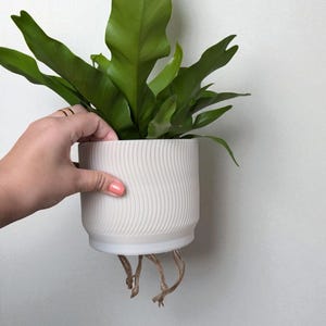 May include: A set of three ceramic mugs with a speckled, matte finish. The mugs are in shades of cream, light gray, and dark gray. Each mug has a simple, minimalist design, perfect for coffee or tea.