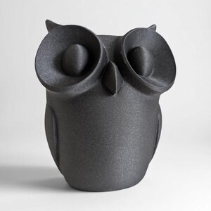 Op de afbeelding: Matzwarte uilfiguur met grote, ronde ogen en een getextureerd oppervlak. De uil heeft een kleine snavel en oorpluimen. Een decoratief item voor in huis.