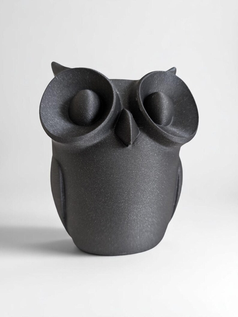 Op de afbeelding: Matzwarte uilfiguur met grote, ronde ogen en een getextureerd oppervlak. De uil heeft een kleine snavel en oorpluimen. Een decoratief item voor in huis.