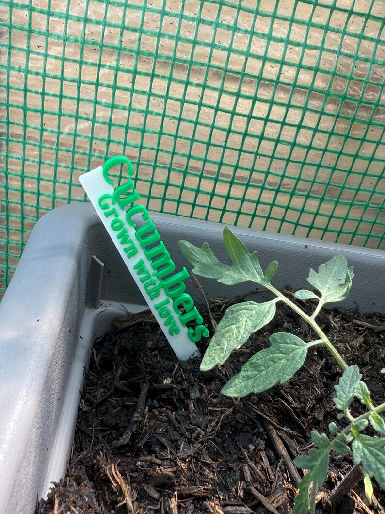 May include: A white and green plant marker in a gray planter, labeled "Cucumbers Grown with love." The marker is placed in dark soil next to a small green plant. A green mesh fence is in the background.