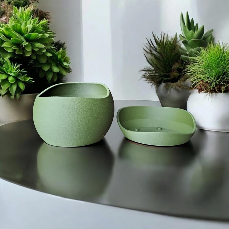 May include: Two sage green ceramic planters, one spherical with a curved opening and the other a shallow oval. The planters sit on a reflective surface, with various potted plants in the background. The planters are a modern, minimalist design.