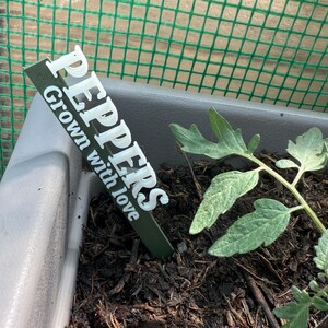 May include: A close-up of a plant pot with a green plant marker that reads "PEPPERS Grown with love" in white lettering. The pot contains dark soil and a small green plant with several leaves. A green mesh fence is in the background.