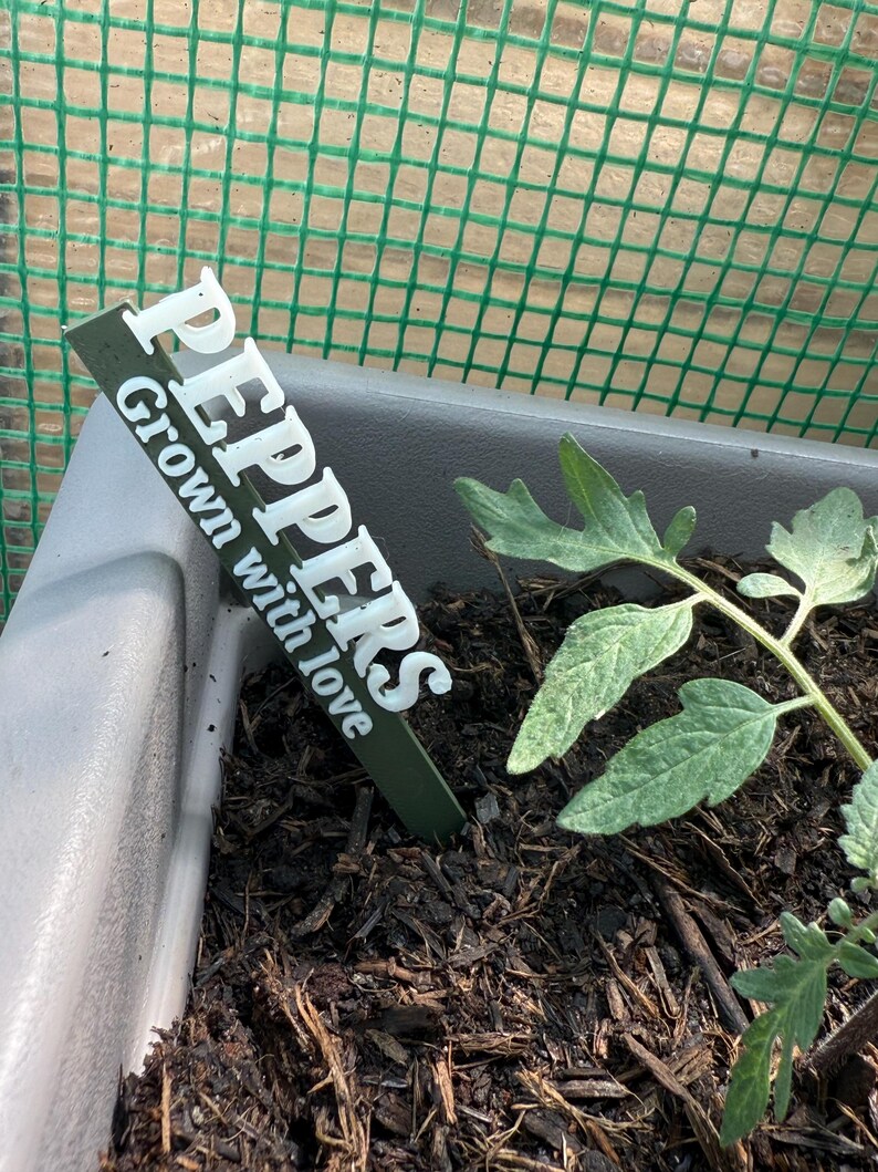 May include: A close-up of a plant pot with a green plant marker that reads "PEPPERS Grown with love" in white lettering. The pot contains dark soil and a small green plant with several leaves. A green mesh fence is in the background.