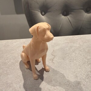 Charming Labrador Dog Sculpture – Custom Colours – 3D Printed- Handmade in the UK image 12