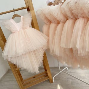 Blush Pink Tulle Girls Dress, Layered Ruffle Birthday Dress, Fairy Flower Girl Dress, Toddler Princess Party Gown, Puffy Couture Girl Dress
