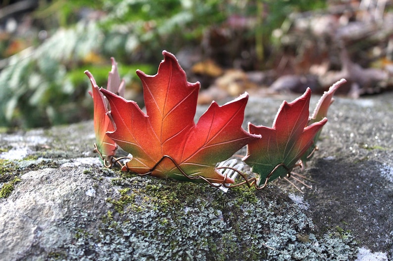 Armure en cuir de feuilles dautomne Couronne Diadème elfique Fae image 1