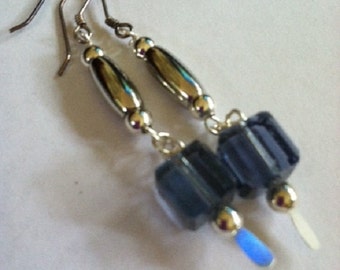 Silver and Blue Earrings - EGL022