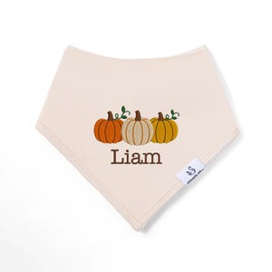 Personalized Pumpkin Baby Bib, Fall Pumpkins Bib, Pumpkin Patch Baby Bib, Thanksgiving Baby Gift, Baby Shower Gift