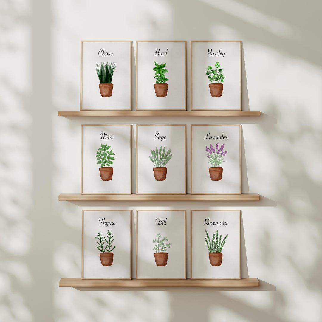 HERBS FULL SET of 9 - Incl. Free Special Edition Bundle Kitchen Wall ...