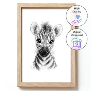 Downloadable poster - baby zebra drawing - for children's room - savannah animal decoration - easy printing - baby room