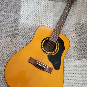 Oude gitaar Höfner Hofner 12 snaren