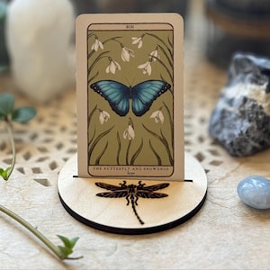 Porta cartas de tarot y oráculo lunar de insectos: diseños de abeja, libélula y escarabajo.