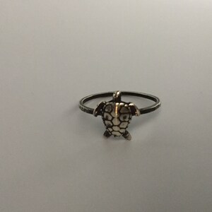 Puede incluir: Un anillo de plata con un pequeño dije de tortuga. La tortuga está hecha de plata y tiene un caparazón texturizado.