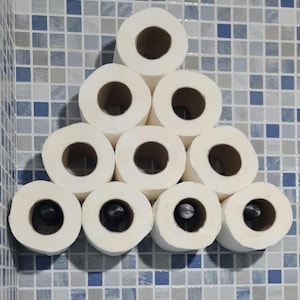 Toilet Paper Holder