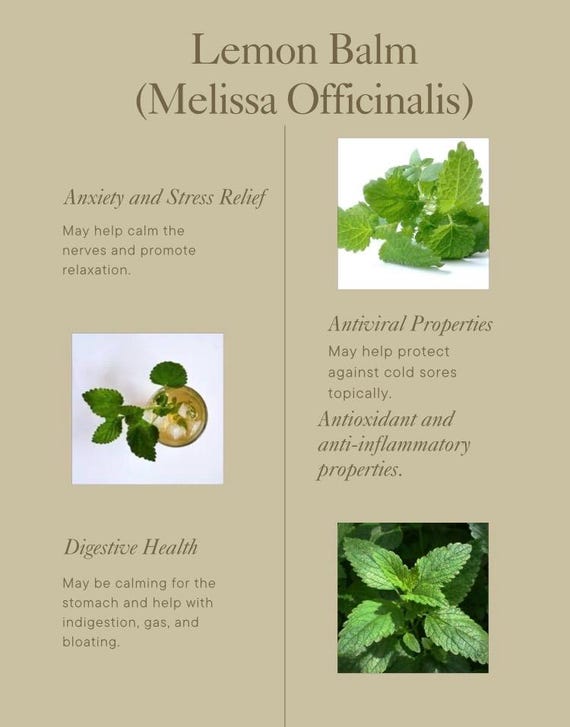Organic Lemon Balm (melissa Officinalis) Supplements 350+ MG Each - Etsy