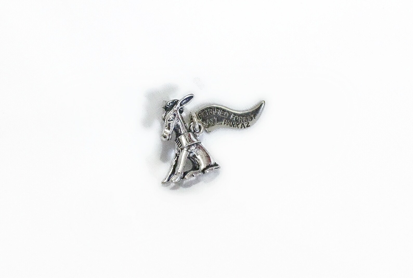 Vintage Petrified Forest National Park Arizona Charm Sterling Etsy