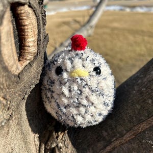 Crochet Chicken