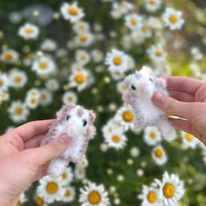 May include: Two small, handmade plush hamsters with white and brown fur are held up against a backdrop of daisies. The hamsters have black eyes and pink accents. The background is a soft focus of green foliage and white daisies.
