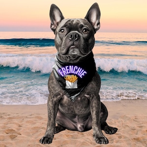 Pet Bandana Collar,French Bulldog&quot; Frenchie Fries&quot; Gift,Cute Dog Lover Collar,Pet Neckwear,French Bulldog Bandanna, Frenchie Owner, Frenchie