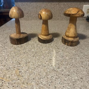 3 Pilze aus gestocktem Ahorn