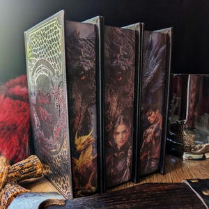 Könnte beinhalten: Eine Reihe von Fantasy-Büchern mit detaillierten Illustrationen. Die Einbände zeigen einen Drachen, eine Frau und einen Mann. Das erste Buch hat einen schwarzen Einband mit goldenen Akzenten und dem Titel "A Court of Thorns and Roses" in Rot.