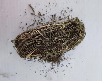 Hoja de Timi-timi timi-timini (retama suave) planta mística y espiritual con virtudes naturales de purificación, atracción y revitalización del cuerpo.