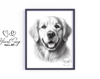 May include: Black and white pencil drawing of a golden retriever dog with a friendly expression. The dog is looking directly at the viewer. The drawing is framed in a black frame.