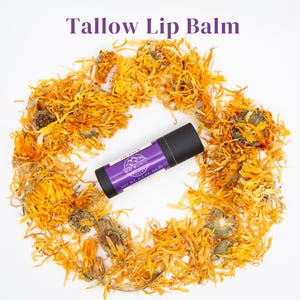 Tallow Lip Balm — Grass-Fed Tallow - Available Flavors: Lavender, Vanilla Bean, or Sweet Orange