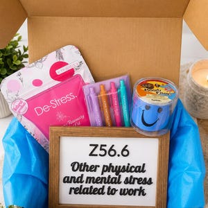 May include: A cardboard gift box containing a pink De-Stress pouch, a set of four colored pens, a blue Moody Frog toy in a clear container, and a wooden frame with a white sign reading Z56.6 Other physical and mental stress related to work.