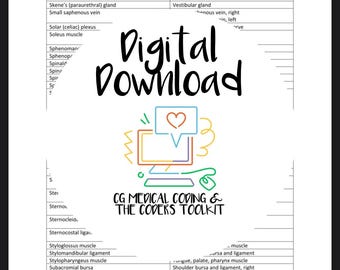 Body Part Key for Medical Coders