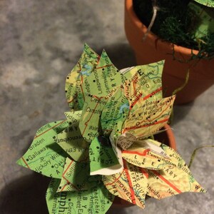 Handmade paper succulent from vintage maps image 5