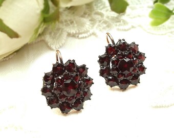 Large Vintage round garnet earrings/boutons F240420