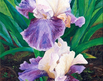 Irises, 9 x 12 in., giclee print