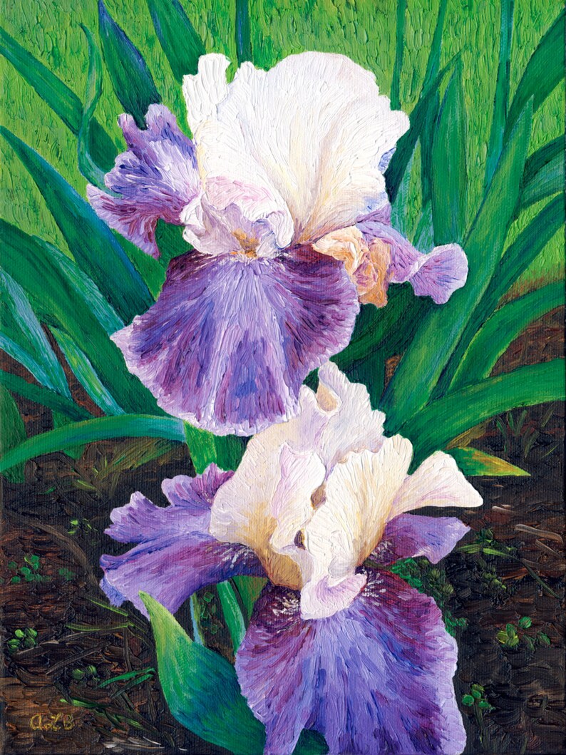 Irises, 9 x 12 in., giclee print image 1