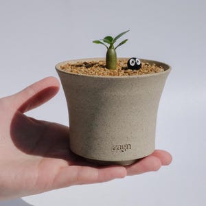 May include: A small green plant with a thick stem grows in a beige ceramic pot with the word "zagn" on the bottom. A small black and white character with large eyes sits on the soil.