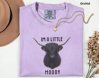 Highland Cow Shirt Comfort Colors, Im A Little Moody Tee, Funny Farm Cow Lover Gift, Country Western Graphic Shirt, Christmas Gift