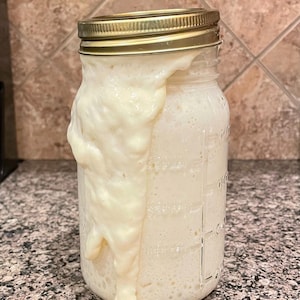 Sourdough Starter
