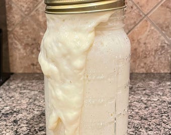 Sourdough Starter Guide for Beginners – Step-by-Step Instructions, Feeding Log Printable PDF